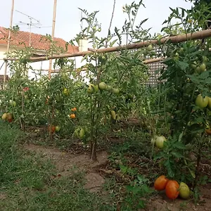 Eira Da Mila Holiday home Coimbra